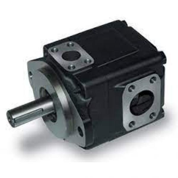 4T0417 5J0101 5J5070 6E4269 6J1578 6J1579 6J3138 6J6614 7J0552 Hydraulic Vane Pump Cartridge Kit Excavator CAT Pump #1 image